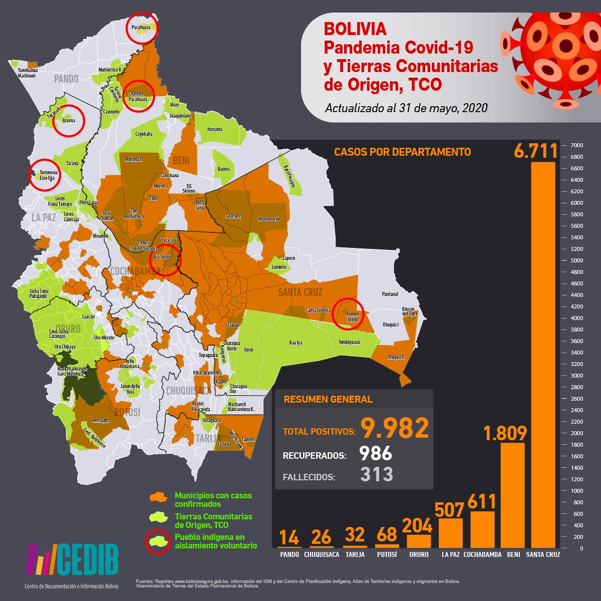 Mapa casos positivos de coronavirus y Tierras Comunitarias de Origen, TCOs (31.5.20)