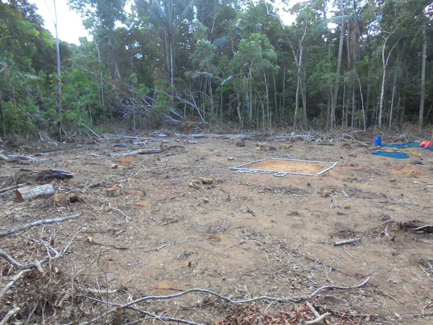 Espacios deforestados dejaron los campamentos instalados en la Amazonía boliviana. Foto: Monitores Socioambientales.