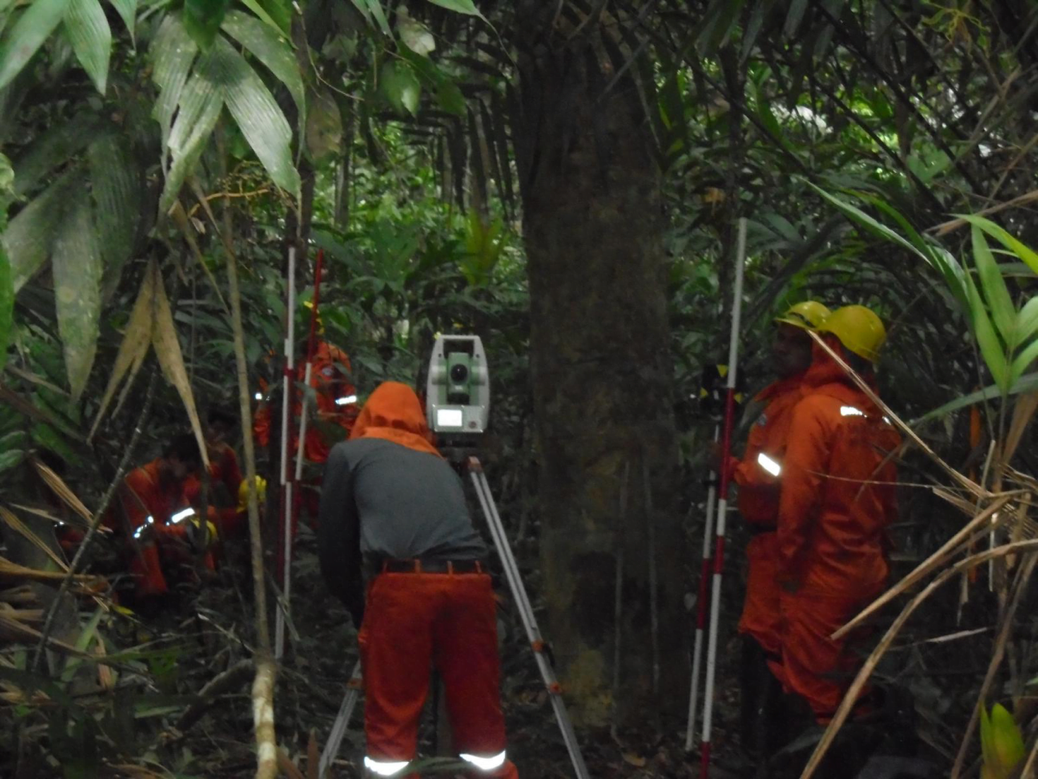 Los daños ocasionados en los bosques de castaña fueron denunciados en el informe presentado ante las Naciones Unidas. Foto: Monitores Socioambientales.