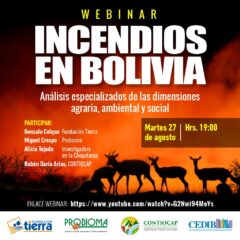 Incendios en Bolivia. Análisis especializados en las dimensiones agraria, ambiental y social