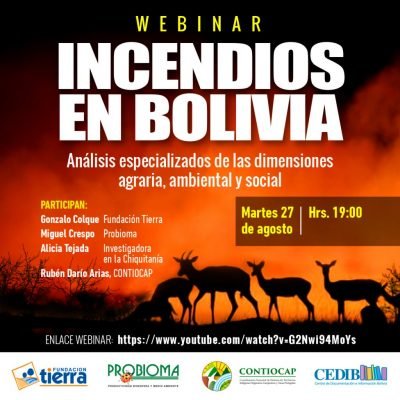 Incendios en Bolivia. Análisis especializados