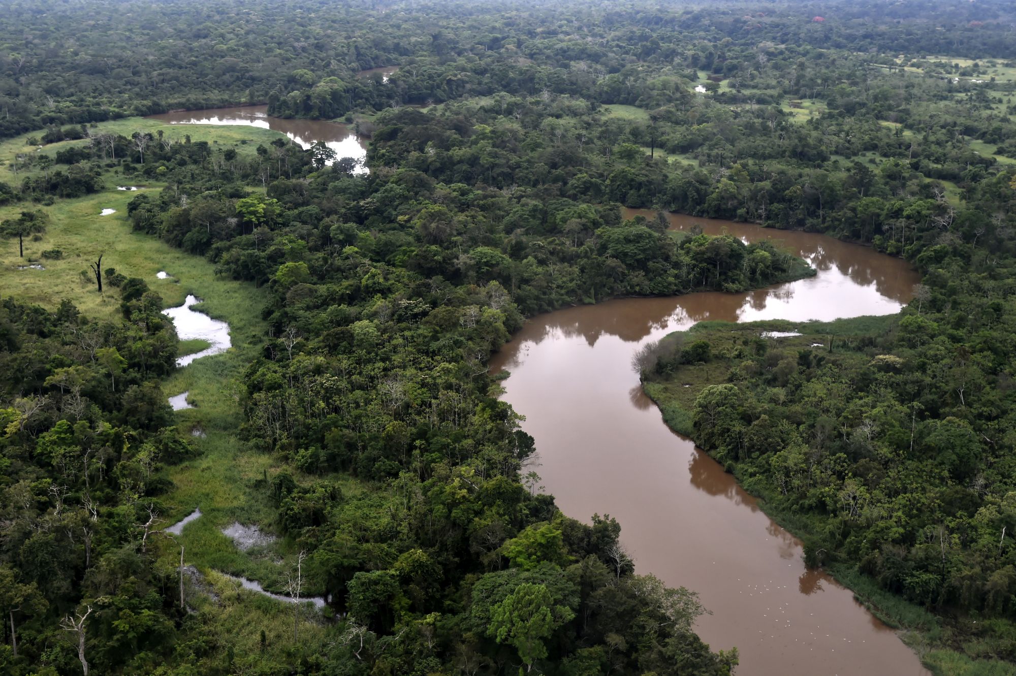 Vista panorámica de parte de la Amazonía boliviana. Foto cortesía de Los Tiempos.