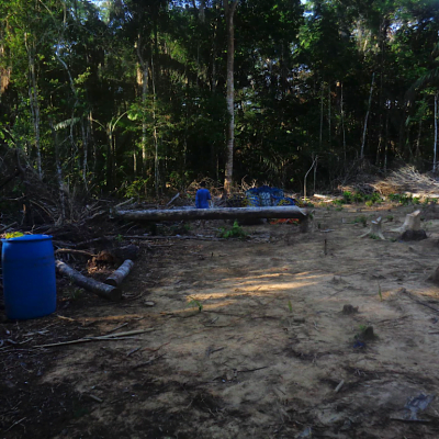 La presencia de 1500 trabajadores en los campamentos ocasionó daños en los bosques del territorio Tacana. Foto: Monitores Socioambientales.