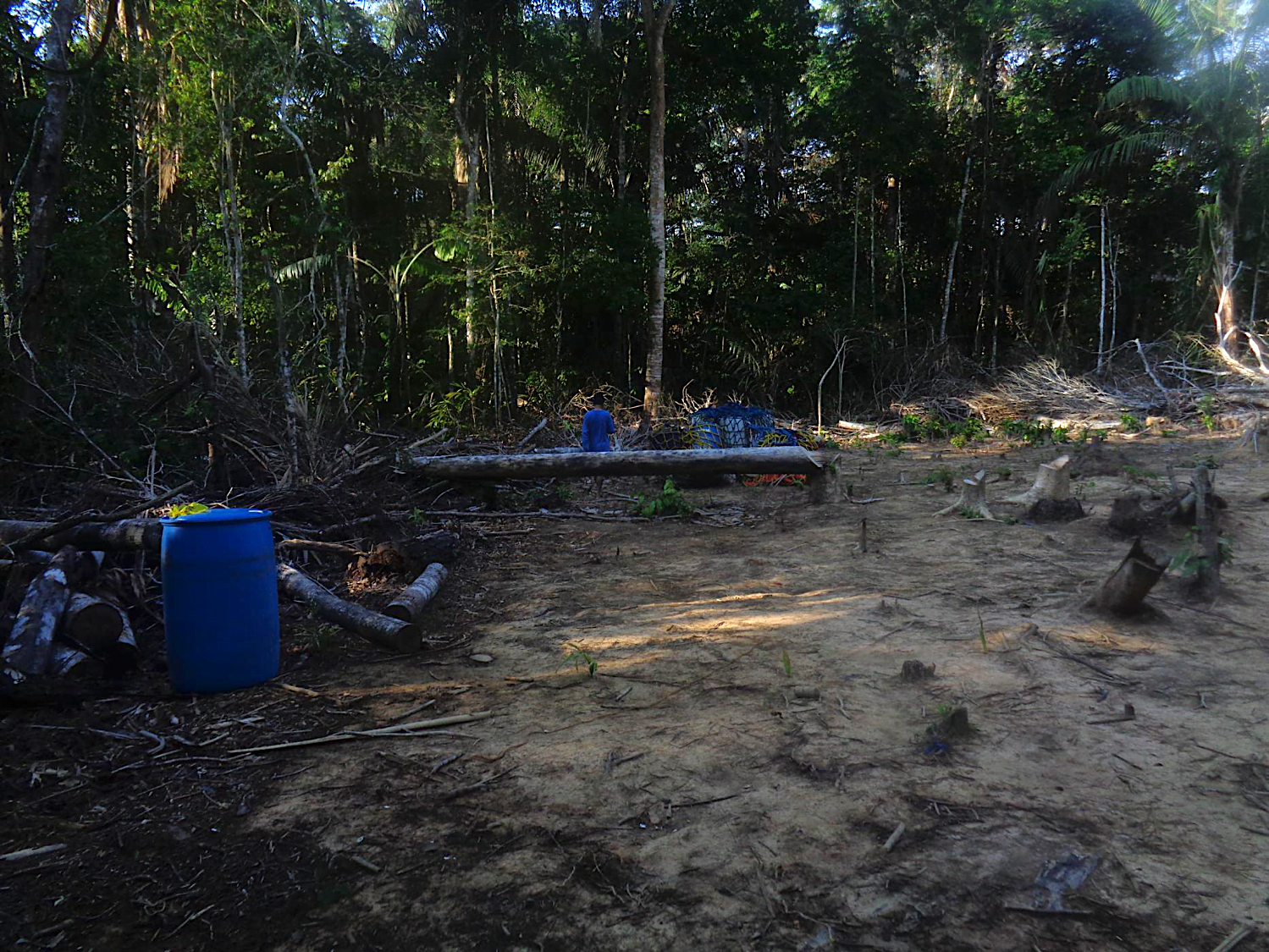 La presencia de 1500 trabajadores en los campamentos ocasionó daños en los bosques del territorio Tacana. Foto: Monitores Socioambientales.
