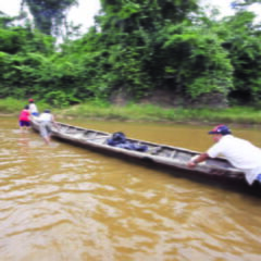 Tierra – Territorio: Un debate Histórico. Base de Datos