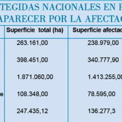 ¿A qué juega Evo Morales en la Amazonía?