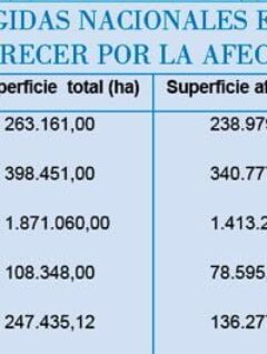 ¿A qué juega Evo Morales en la Amazonía?