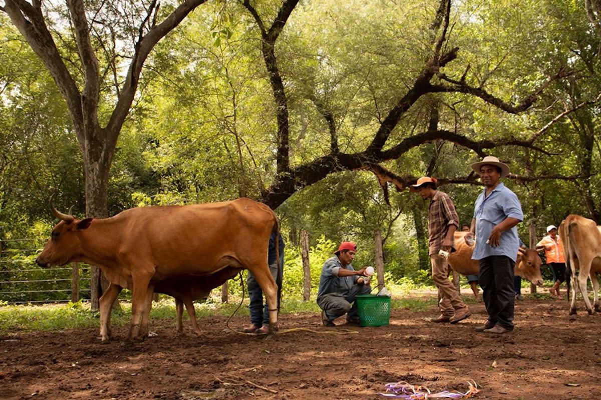 fracking en Bolivia