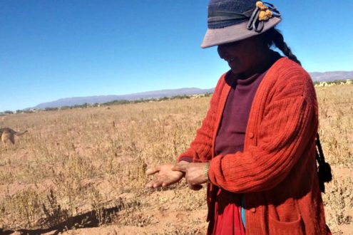 Los pueblos indígenas temen lo que pueda pasar en sus territorios con un nuevo gobierno. Foto: Ministerio de Desarrollo Rural de Bolivia.