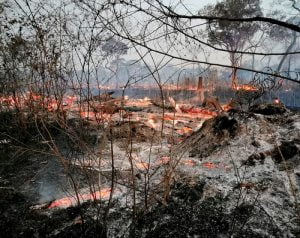 Indígenas denuncian a Morales por incendio de 5 millones de hectáreas (El Diario, 09.10.19)