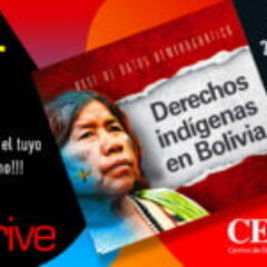 Cumbre nacional: PyCS_Expo6-VIII Marcha Indígena