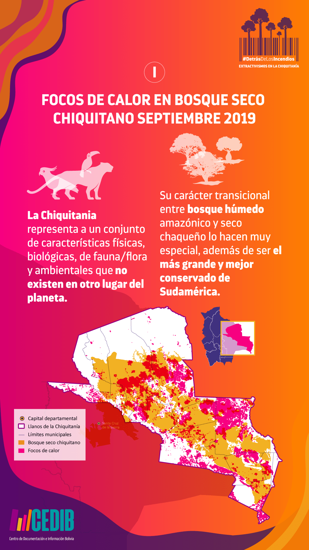 Detrás de los Incendios Extractivismos en la Chiquitanía