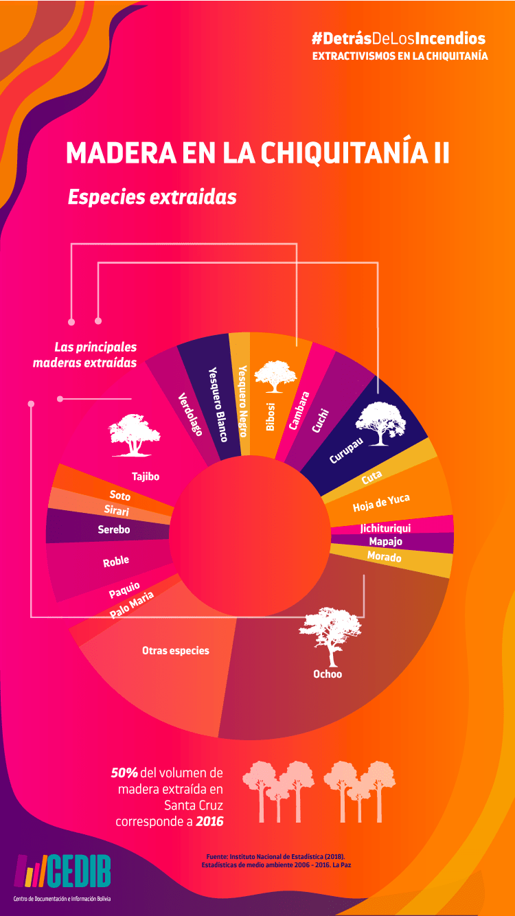 Incendios Extractivismos en Chiqitanía Bolivia