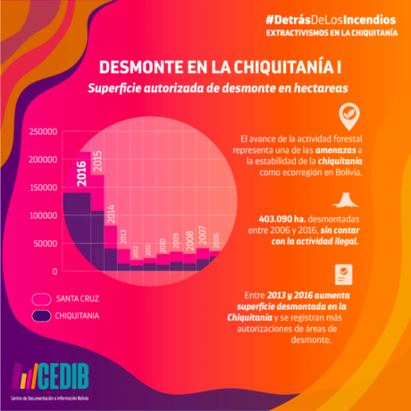 Madera en la Chiquitanía Bolivia