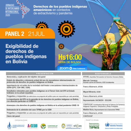 Derechos de los Pueblos Indígenas amazónicos en contextos de extractivismo y pandemia