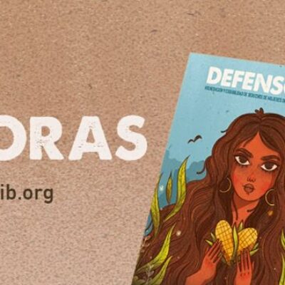 Defensoras, mujeres frente al extractivismo