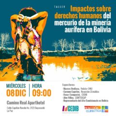 Taller evalúa los impactos del mercurio sobre los derechos humanos y ambientales en Bolivia