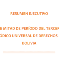 Informe de medio término del Examen Periódico Universal de Bolivia.