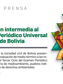 Resumen ejecutivo: Informe de Mitad de periodo del 3er ciclo del Examen Periódico Universal de DDHH a Bolivia