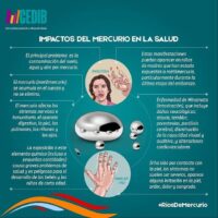 ¿Cómo impacta el mercurio en la salud?