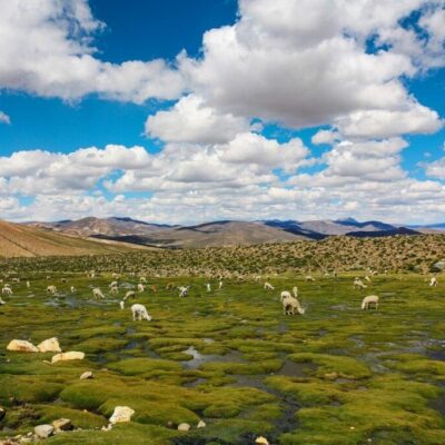 Mapa Minería en Áreas protegidas y territorios frágiles de Bolivia