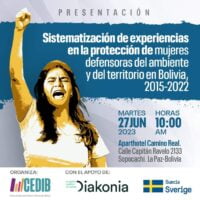 Sistematización de experiencias en la protección de mujeres defensoras del ambiente y territorio 2015 – 2022