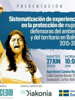 Sistematización de experiencias en la protección de mujeres defensoras del ambiente y territorio 2015 – 2022