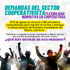 ¿Qué hay detrás de los pedidos de los mineros cooperativistas al presidente de Bolivia?