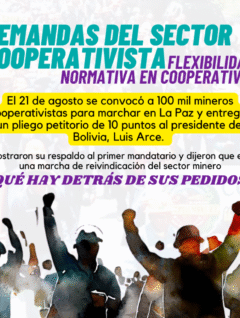 ¿Qué hay detrás de los pedidos de los mineros cooperativistas al presidente de Bolivia?