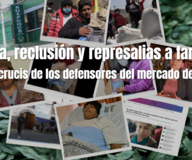 AdepcocaArticulo