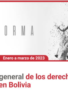 Cedib Informa. Enero a marzo 2023. Situación de los DDHH en Bolivia.