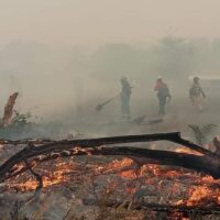 TERCER PEDIDO DE DECLARACIÓN DE DESASTRE NACIONAL POR INCENDIOS Y EXTREMA SEQUIA EN BOLIVIA