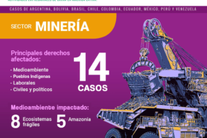 Casos Minería CICDHA