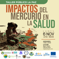 Taller Impactos del mercurio en la salud