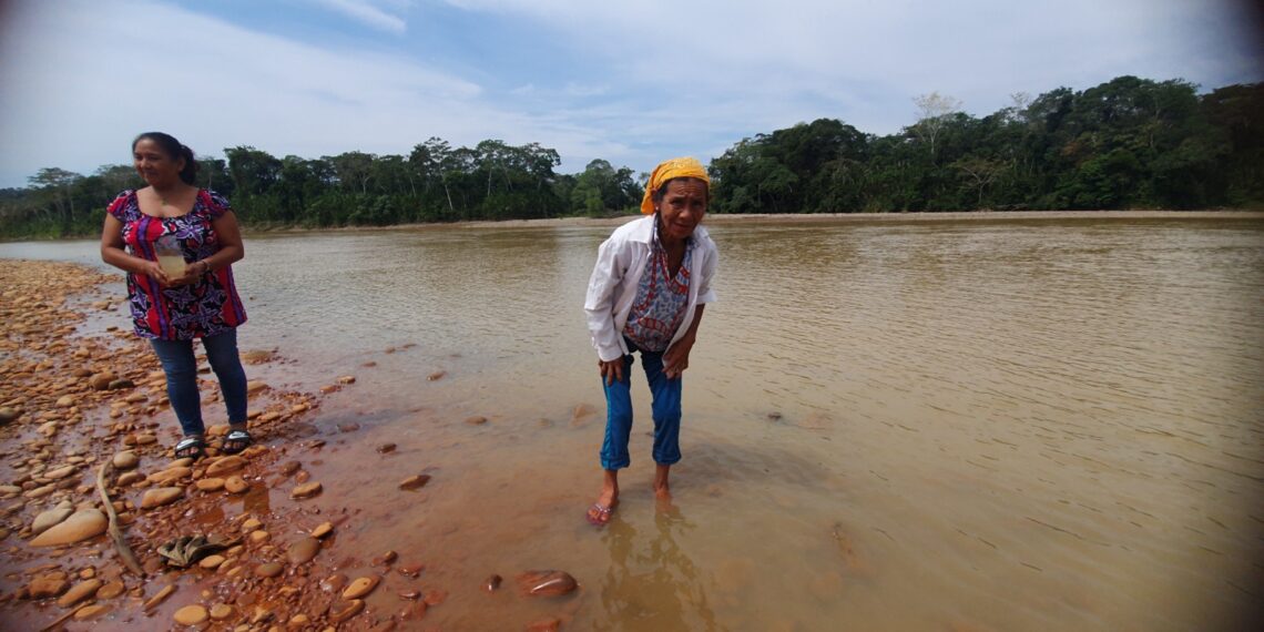 “Ya no tenemos paz”: la voz de los defensores del Madidi desplazados por la minería