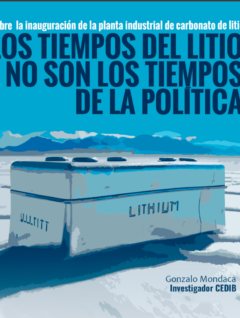 Los tiempos del litio, no son los tiempos de la política