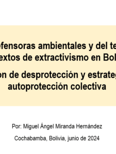 Situación de Mujeres Defensoras ambientales y del territorio en Bolivia. Congreso LASA 2024, Colombia