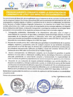 Pronunciamiento conjunto sobre la explotación de carbonato de litio y sus impactos ambientales | 2025