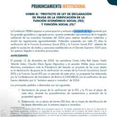 Pronunciamiento Fundación Tierra | Proyecto de ley de declaración de Pausa 2025
