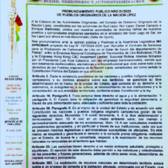 Pronunciamiento Pueblos originarios de la Nación Lipez