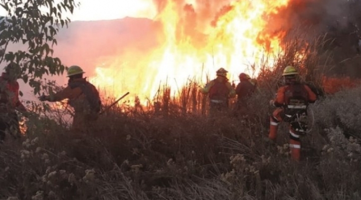 b_39933_relatoria-de-la-cidh-anuncia-visita-a-bolivia-para-evaluar-impactos-de-los-incendios-1