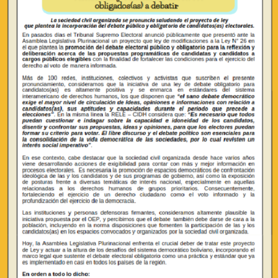 dENUNCIA pROYECTO ley eleccione