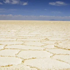Bolivia: Organizaciones ambientales expresan su preocupación por acuerdos firmados entre el gobierno y empresas de China y Rusia para la explotación de litio | Business Human Rights (11.02.25)