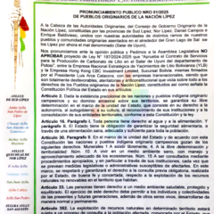 Pronunciamiento público de Pueblos originarios de la Nación Lipez | 2025