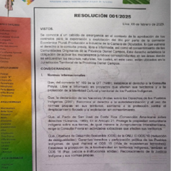 Resolución 001 | 2025 Llica Potosí