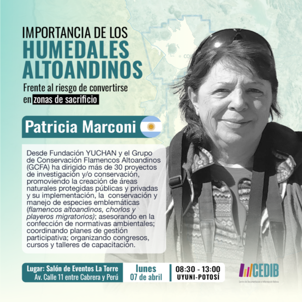 bibliografias humedales litio-Patricia Marconi