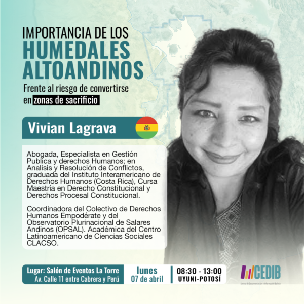 bibliografias humedales litio- Vivian lagrava