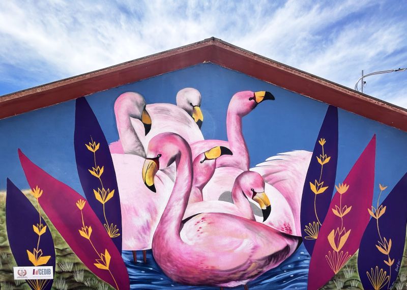 flamencos flamencos