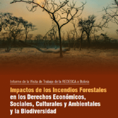 Impactos de los incendios forestales en los derechos económicos, sociales, culturales y ambientales y la biodiversidad | REDESCA