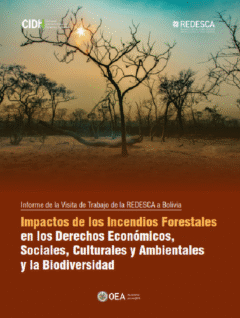 Impactos de los incendios forestales en los derechos económicos, sociales, culturales y ambientales y la biodiversidad | REDESCA